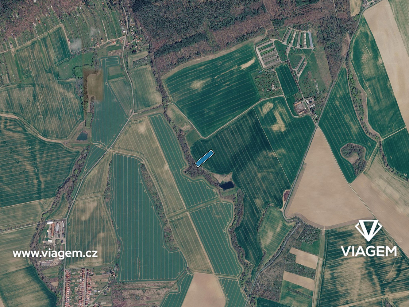 Prodej pole 1 312 m² — photo 3