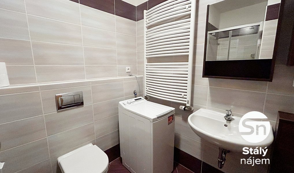 Pronájem bytu 1+kk 31 m², Praha – náhled fotky 5