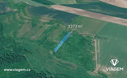 Prodej pole 3 373 m², Čejkovice, okres Hodonín