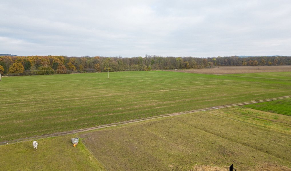Prodej stavebního pozemku 3 803 m², Přísnotice – náhled fotky 5