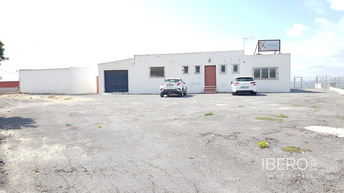 Casa 3+kk – Los Montesinos, el Baix Segura / La Vega Baja - Vista 4