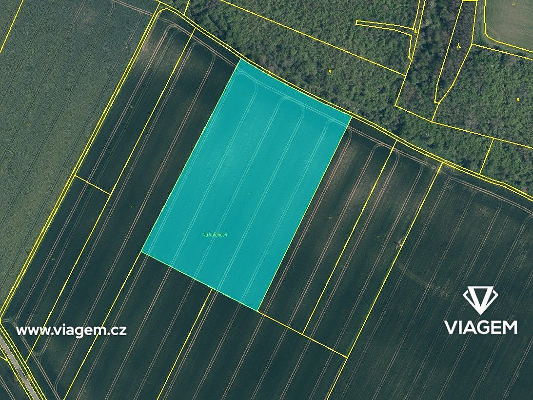 Prodej pole 7 250 m² – fotografie 3
