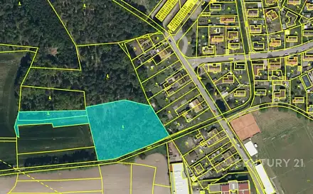 Prodej lesa 10 362 m², Rybitví, okres Pardubice