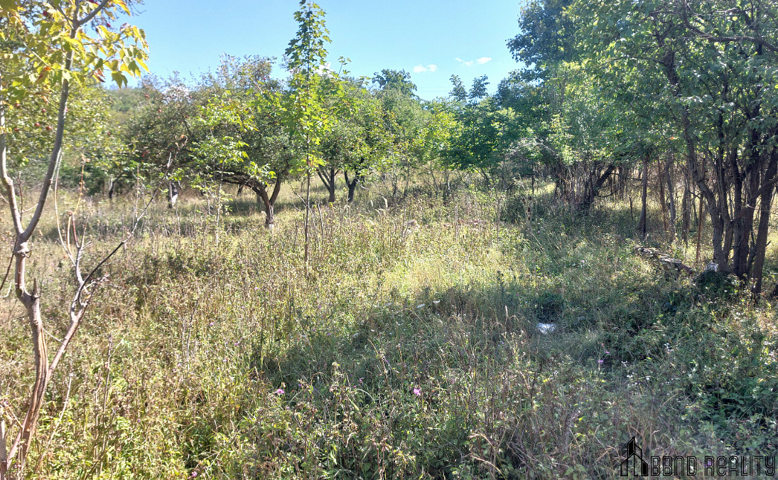 Prodej zahradních pozemků, celkem 1 578 m², Brněnské Ivanovice – další