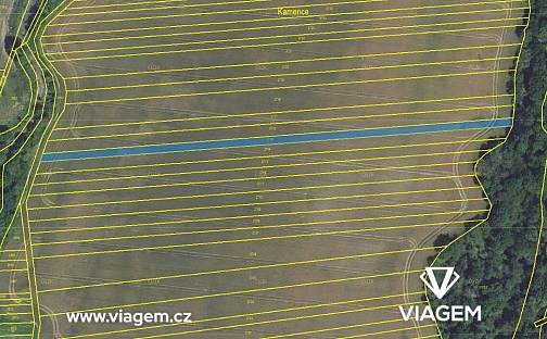 Prodej pole 565 m², Labuty, okres Hodonín