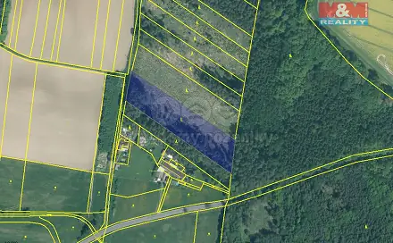 Prodej lesa 7 675 m², Stehlovice, okres Písek