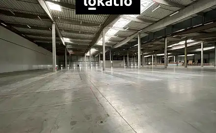 Pronájem skladovacích prostor 18 297 m², Pohořelice, okres Brno-venkov