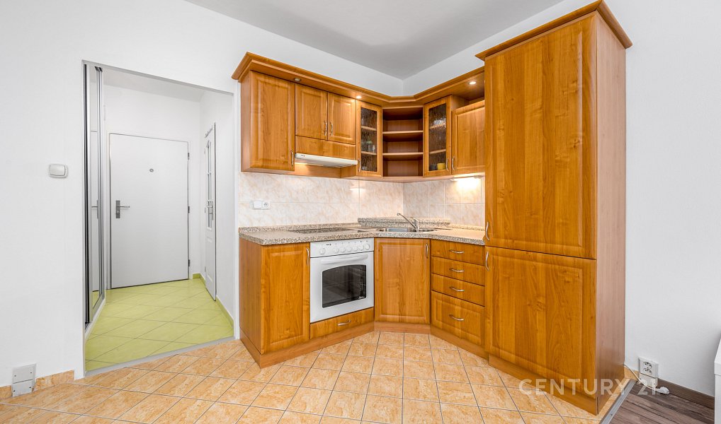 Pronájem bytu 2+kk 41 m², Praha – náhled fotky 7