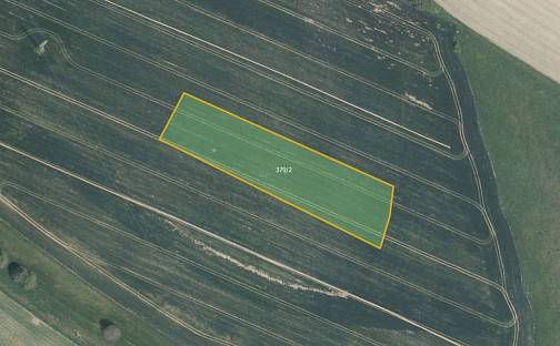 Prodej pole 6 891 m², Nová Ves u Světlé, okres Havlíčkův Brod