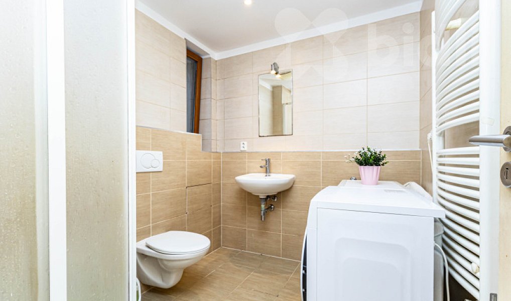 Prodej bytu 1+1 49 m², Praha – náhled fotky 8