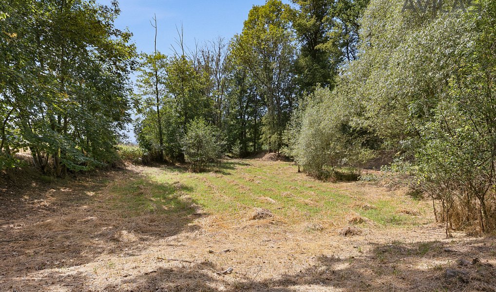 Prodej domu 120 m² s pozemkem 21 184 m², Olbramovice – náhled fotky 32