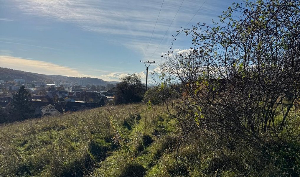 Prodej pozemku 3 479 m², Zlín – náhled fotky 8