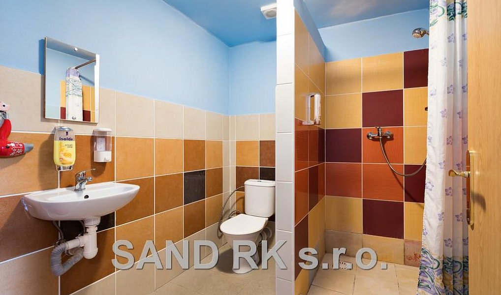 Prodej obchodních prostor 3 600 m², Puclice – náhled fotky 27