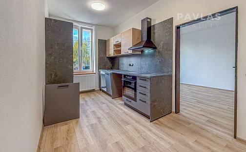 Prodej bytu 1+1 38 m², Lidická tř., České Budějovice - České Budějovice 7