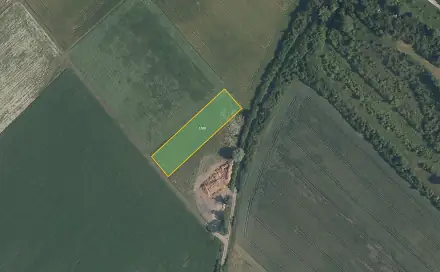 Prodej pole 2 534 m², Nedomice, okres Mělník