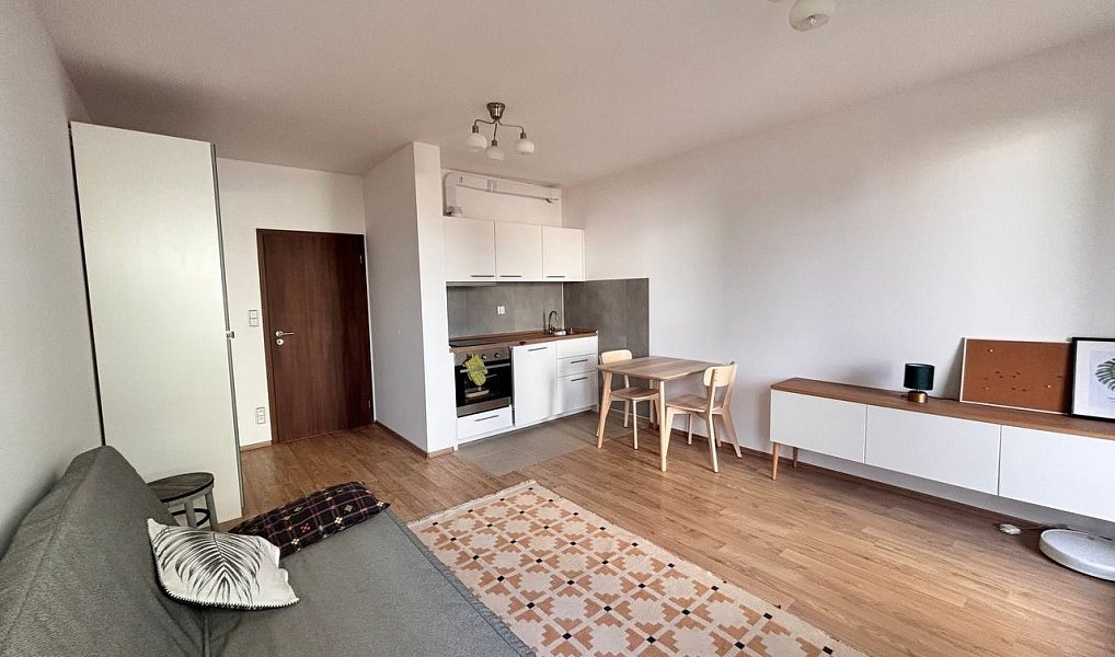 Pronájem bytu 1+kk 30 m², Praha – náhled fotky 7