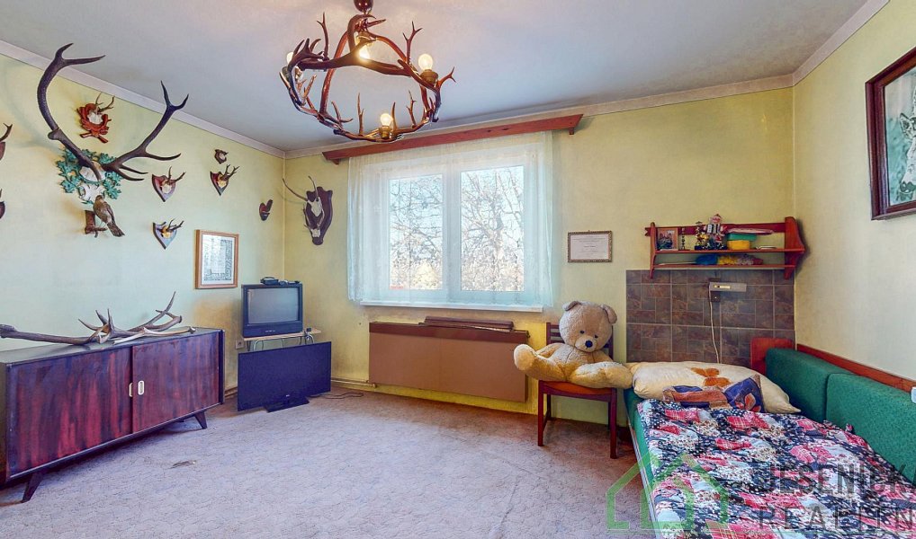 Prodej domu 269 m² s pozemkem 702 m², Javorník – náhled fotky 8