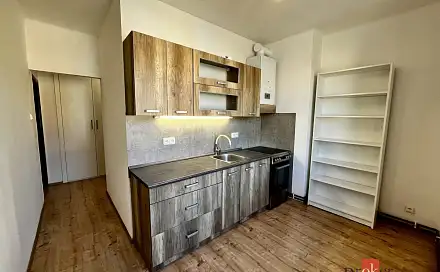 Pronájem bytu 2+1 56 m², Tomanova, Louny