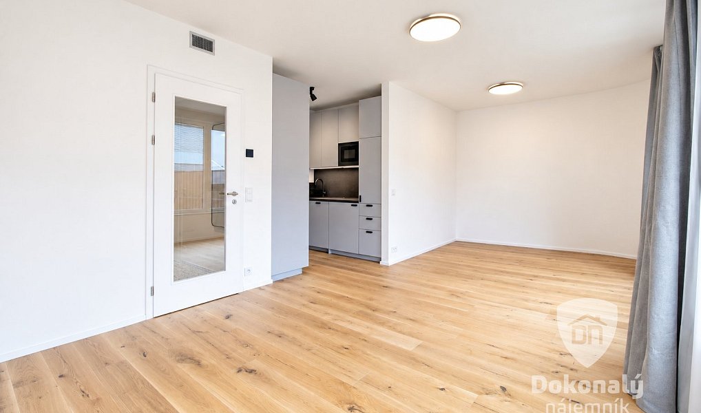 Pronájem bytu 1+kk 36 m², Praha – náhled fotky 5