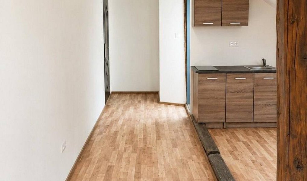 Pronájem bytu 1+kk 30 m², Strančice – náhled fotky 4