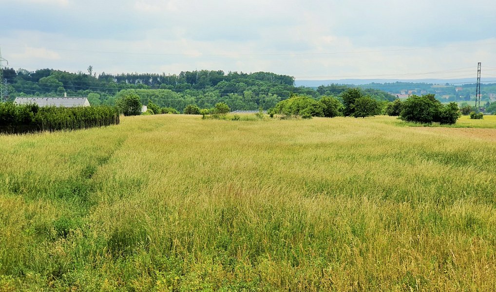 Prodej stavebního pozemku 5 462 m², Vysoký Újezd – náhled fotky 11