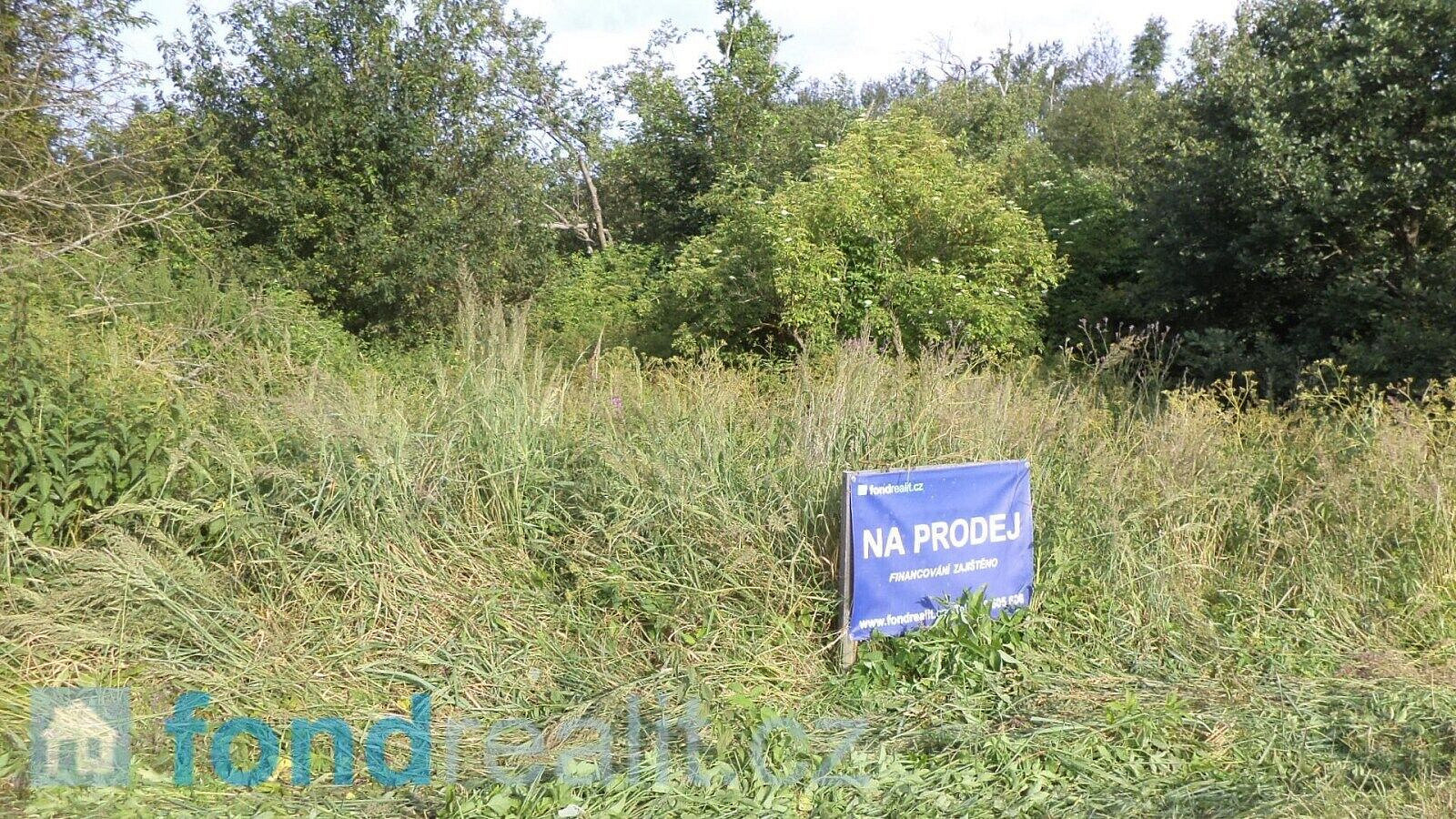 Prodej pozemku 1 919 m² – fotografie 5