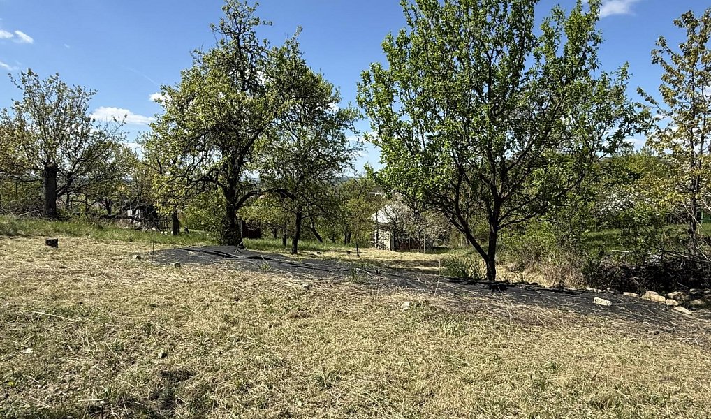 Prodej zahrady 539 m², Slavkov u Brna – náhled fotky 2