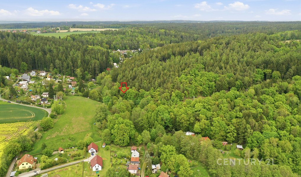 Prodej louky 3 057 m², Všestary – náhled fotky 6