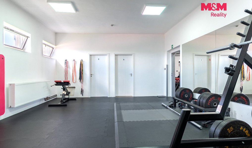 Prodej obchodních prostor 340 m², Bavorov – náhled fotky 4
