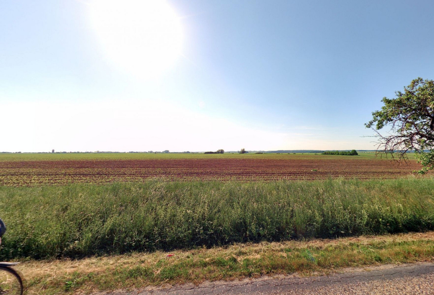 Prodej pole 4 388 m²