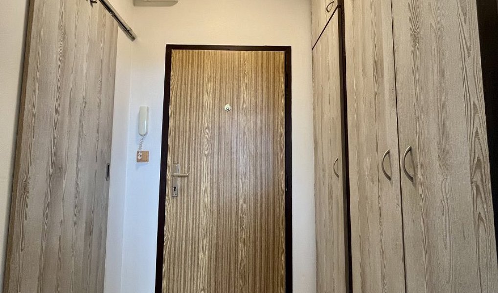 Pronájem bytu 1+1 31 m², Ostrava – náhled fotky 11