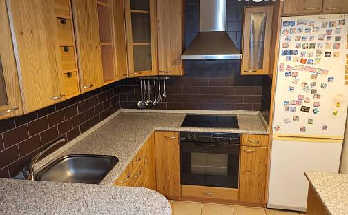 Pronájem bytu 4+1 83 m², Mládežnická, Strakonice - Strakonice I