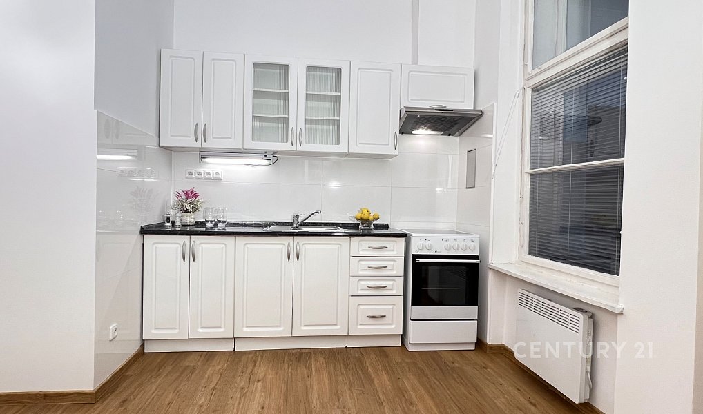 Pronájem bytu 1+1 46 m², Praha – náhled fotky 9