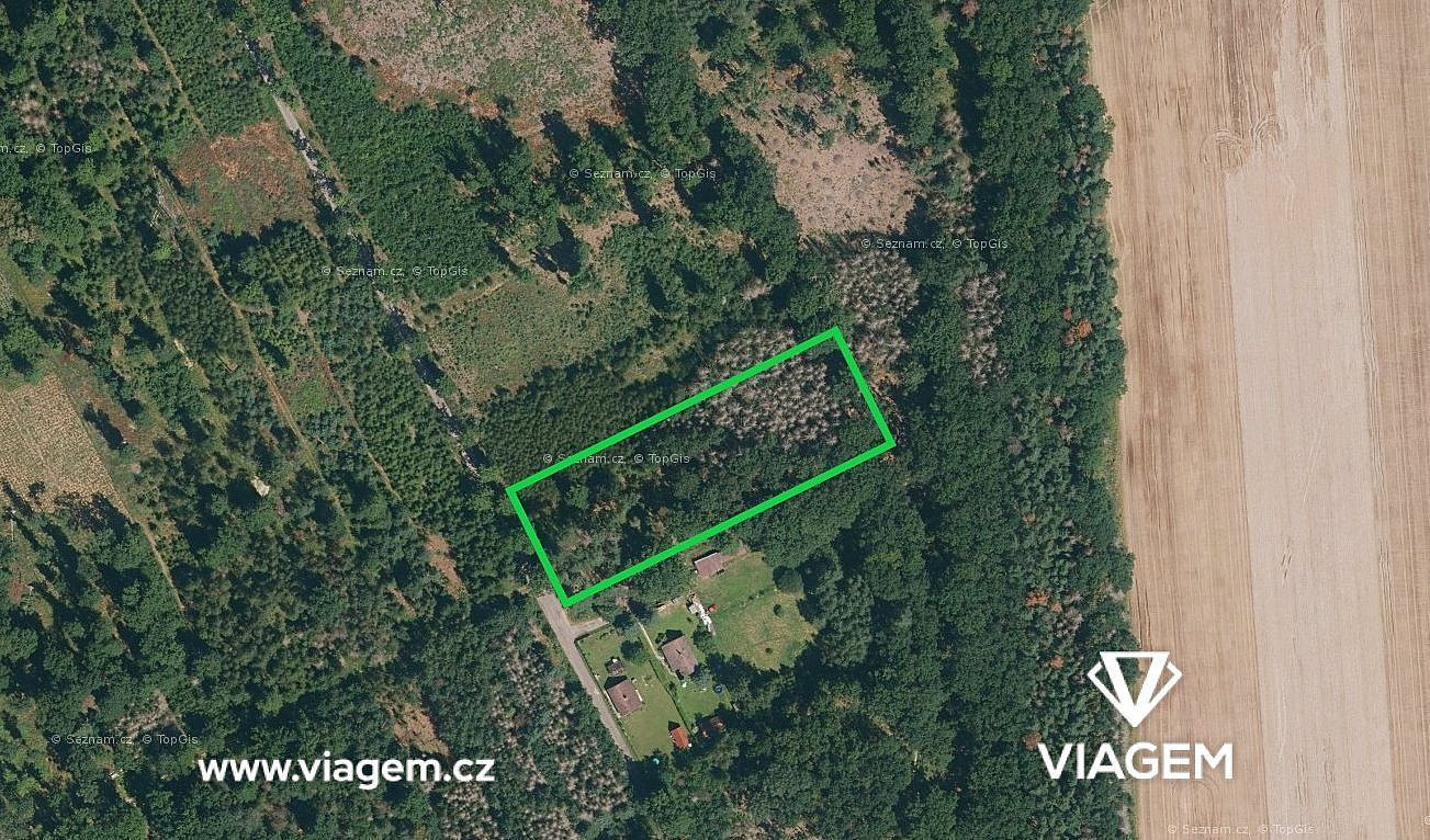 Prodej lesa 3 794 m²