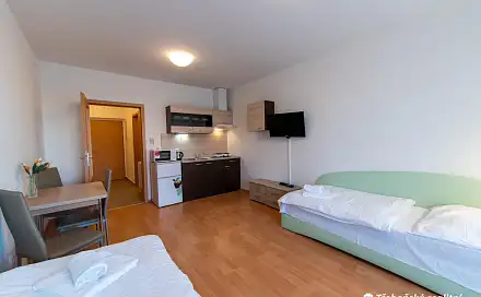 Pronájem bytu 1+kk 28 m², Veslařská, Třeboň - Třeboň II, okres Jindřichův Hradec