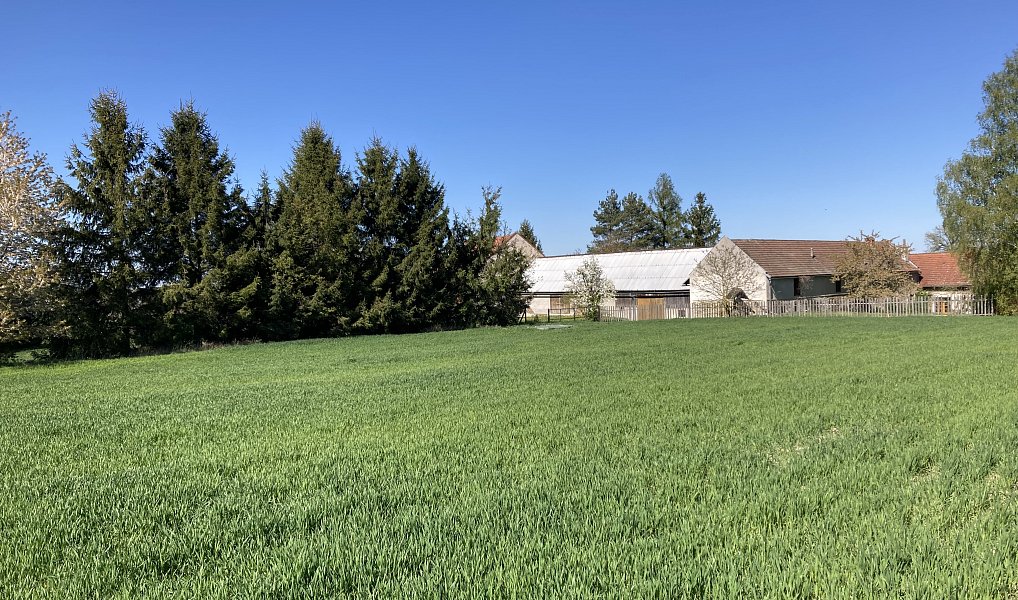 Prodej stavebního pozemku 1 153 m², Rybníček – náhled fotky 6