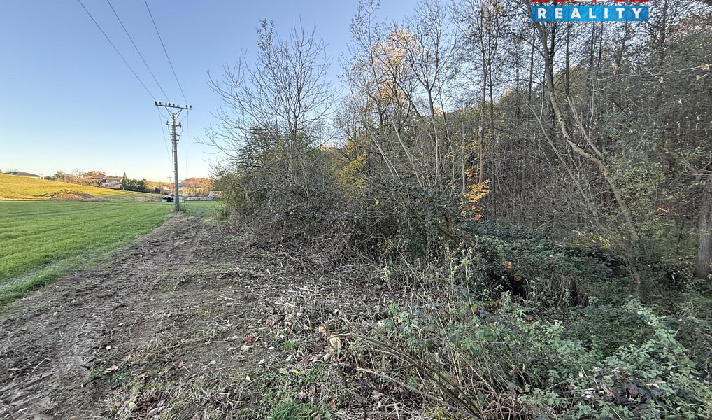 Prodej lesa 1 901 m², Velká Polom – náhled fotky 11