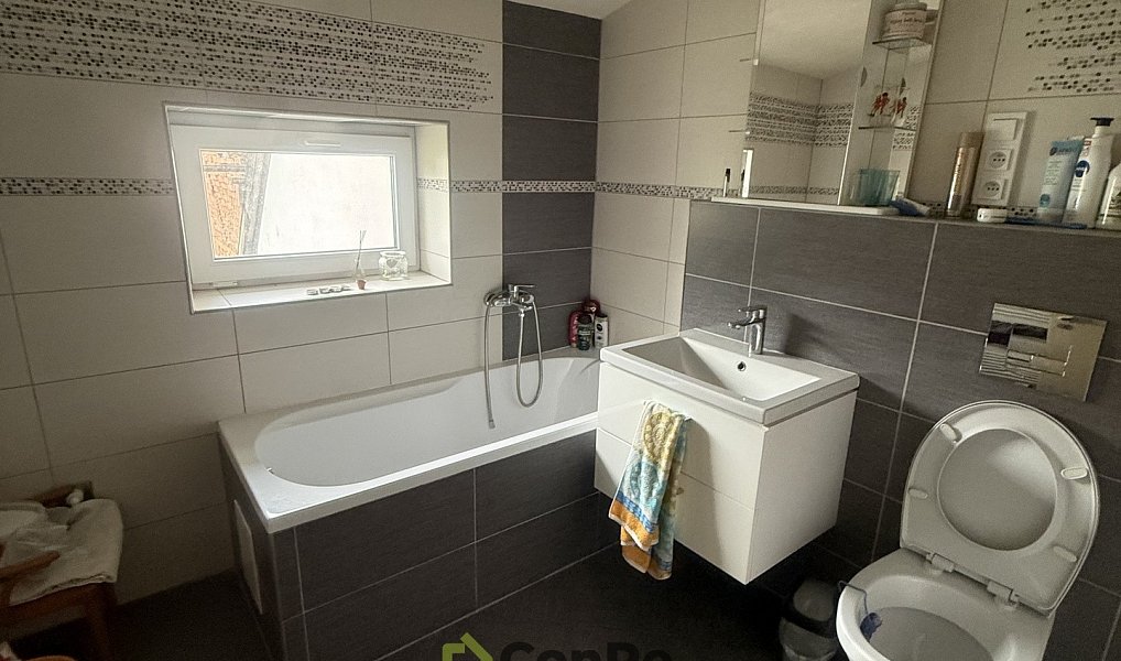 Prodej domu 135 m² s pozemkem 971 m², Cerekvice nad Loučnou – náhled fotky 17