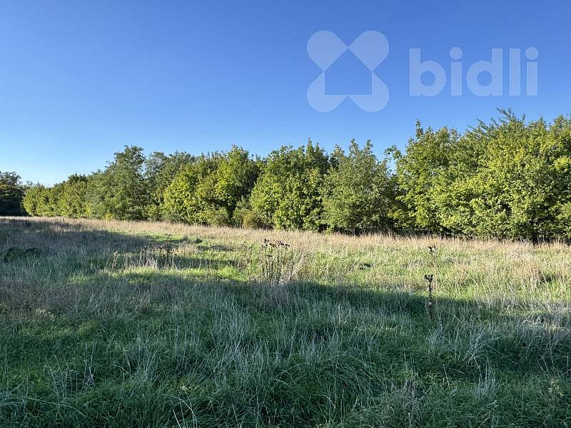 Prodej stavebního pozemku 1 756 m² – fotografie 3