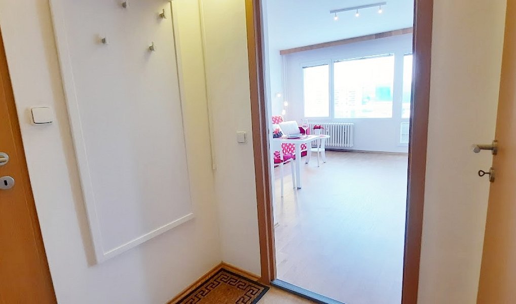 Pronájem bytu 1+kk 38 m², Brno – náhled fotky 16