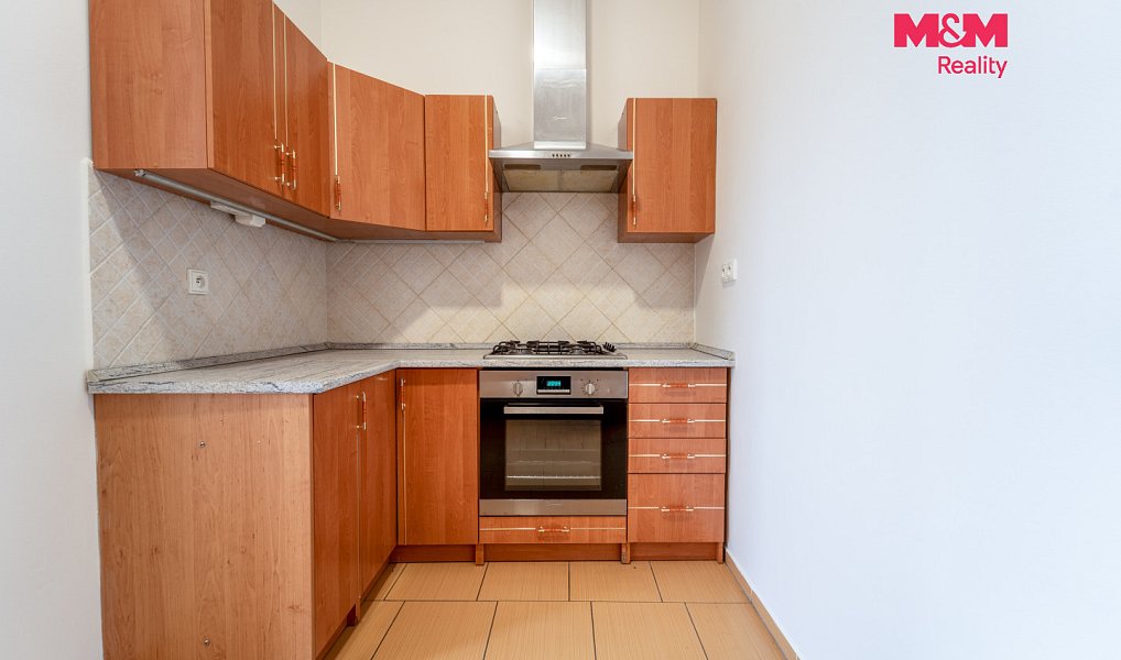 Pronájem bytu 1+1 65 m², Plzeň – náhled fotky 4