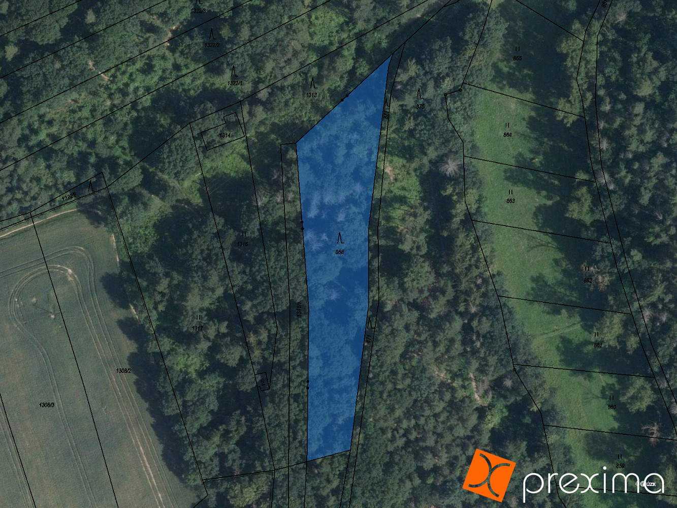 Prodej lesa 198 m²