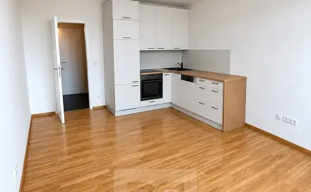 Pronájem bytu 1+kk 30 m², Lesík, Kladno