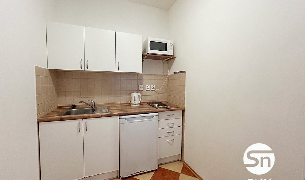 Pronájem bytu 1+kk 31 m², Praha – náhled fotky 8