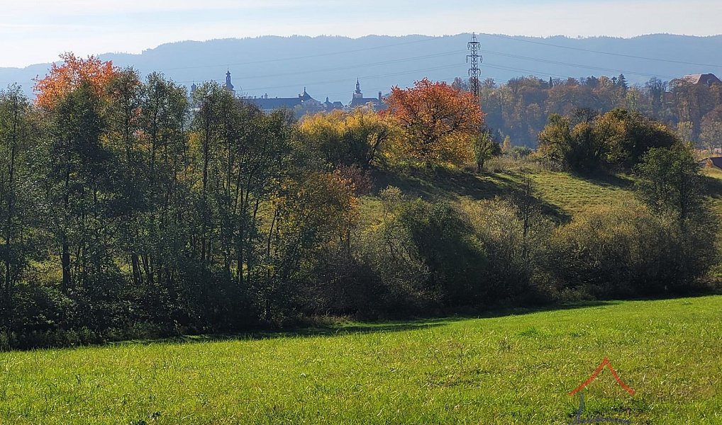 Prodej louky 52 559 m², Broumov – náhled fotky 5