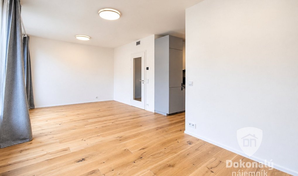 Pronájem bytu 1+kk 36 m², Praha – náhled fotky 6