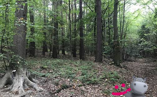 Prodej lesa 40 558 m², Podkopná Lhota, okres Zlín