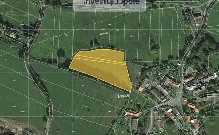 Prodej louky 4 118 m², Životice, okres Plzeň-Jih