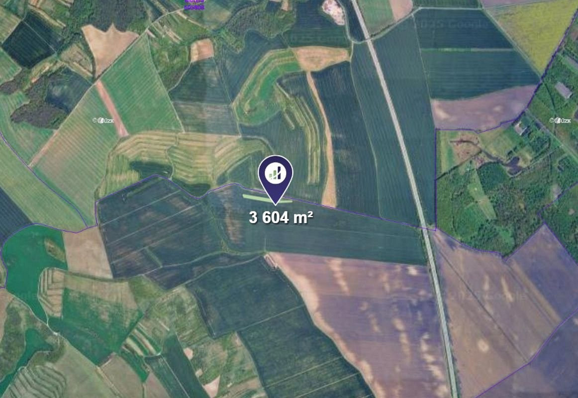 Prodej pole 3 604 m² – fotografie 2