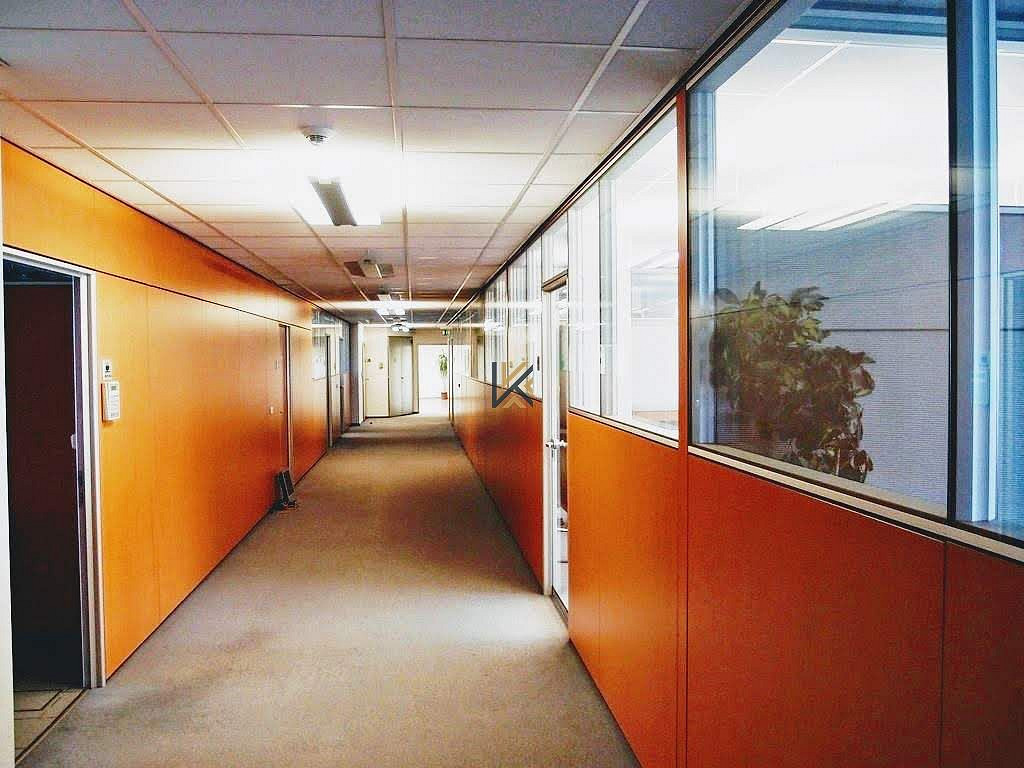 Pronájem kanceláře 674 m² – fotografie 3